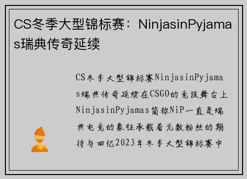 CS冬季大型锦标赛：NinjasinPyjamas瑞典传奇延续
