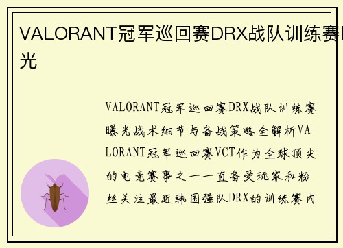 VALORANT冠军巡回赛DRX战队训练赛曝光